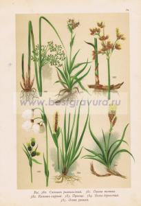 Фотография 0070.jpg