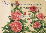 Фотография 0006.jpg