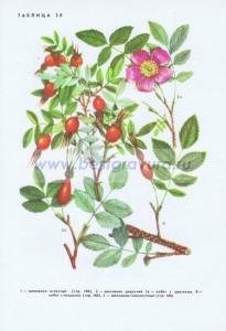 Фотография 0238.jpg