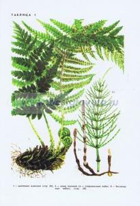 Фотография 0201.jpg