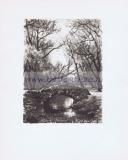 Фотография 0008.jpg