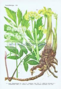 Фотография 0258.jpg