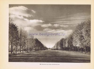 Фотография 0212.jpg
