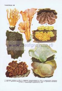 Фотография 0280.jpg