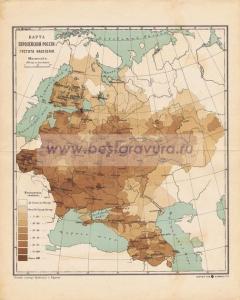 Фотография 0009.jpg