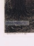 19-162-002_3.jpg