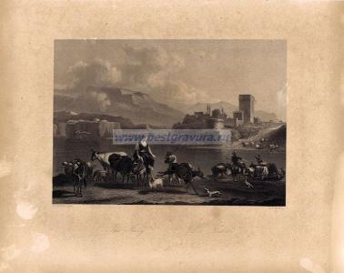 Фотография 0065.jpg