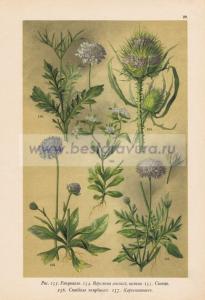 Фотография 0029.jpg