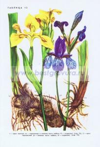 Фотография 0212.jpg