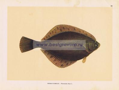 Фотография 0228.jpg