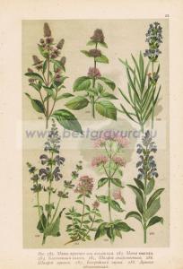 Фотография 0053.jpg