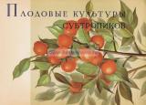 Фотография 0005.jpg