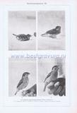 Фотография 0051.jpg