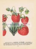 Фотография 0157.jpg
