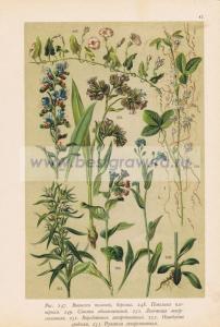 Фотография 0047.jpg