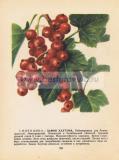 Фотография 0246.jpg