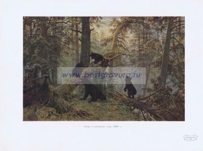 Фотография 0210.jpg