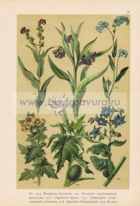 Фотография 0048.jpg