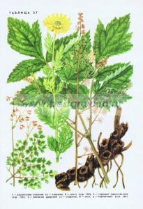 Фотография 0227.jpg