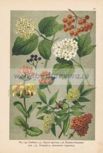 Фотография 0027.jpg