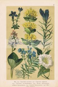 Фотография 0046.jpg