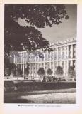 Фотография 0188.jpg