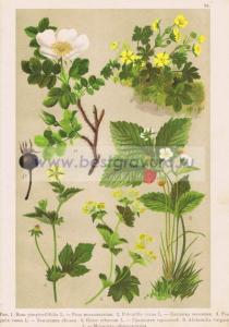 Фотография 0024.jpg