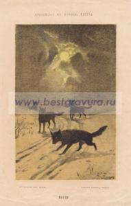 Фотография 0008.jpg