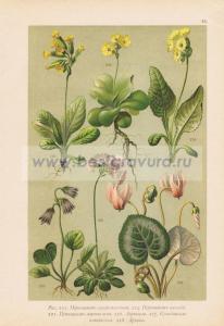 Фотография 0043.jpg