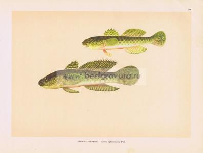 Фотография 0200.jpg