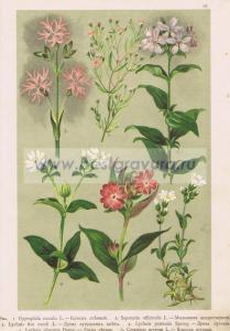 Фотография 0010.jpg