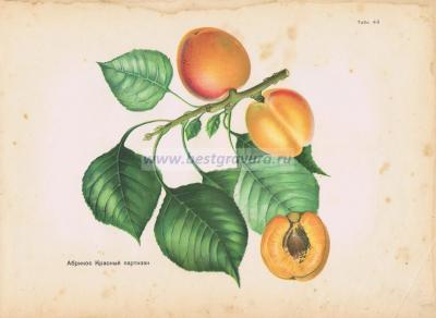 Фотография 0043.jpg