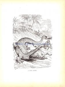 Удачное бегство.