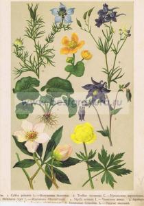 Фотография 0002.jpg