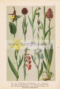 Фотография 0066.jpg