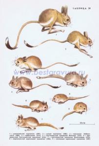 Фотография 0229.jpg