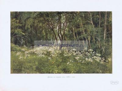 Фотография 0213.jpg