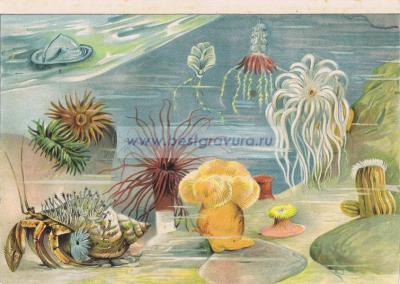 Фотография 0010.jpg