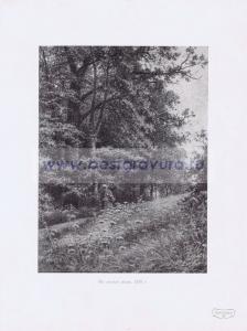 Фотография 0224.jpg