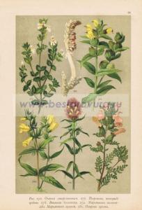 Фотография 0052.jpg