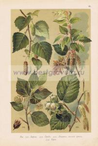 Фотография 0061.jpg