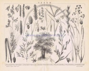 Фотография 0036.jpg