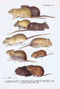 Фотография 0233.jpg