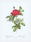 Фотография 0023.jpg