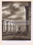 Фотография 0244.jpg