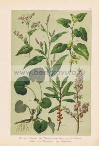 Фотография 0058.jpg