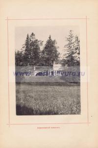 Фотография 0031.jpg