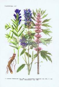 Фотография 0267.jpg