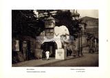 Фотография 0066.jpg