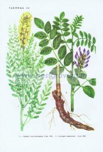 Фотография 0244.jpg